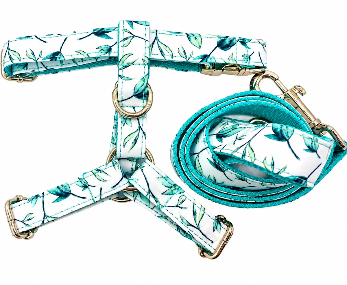 Petspuff Mint Leaf Step-In Harness & Lead Set – 2 Piece | Small Dogs, Puppies & Cats