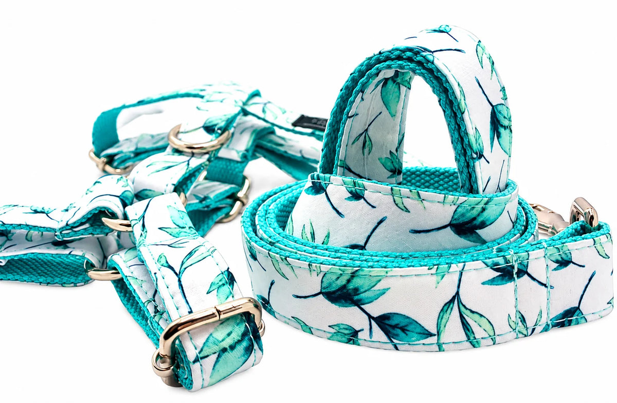 Petspuff Mint Leaf Step-In Harness & Lead Set – 2 Piece | Small Dogs, Puppies & Cats
