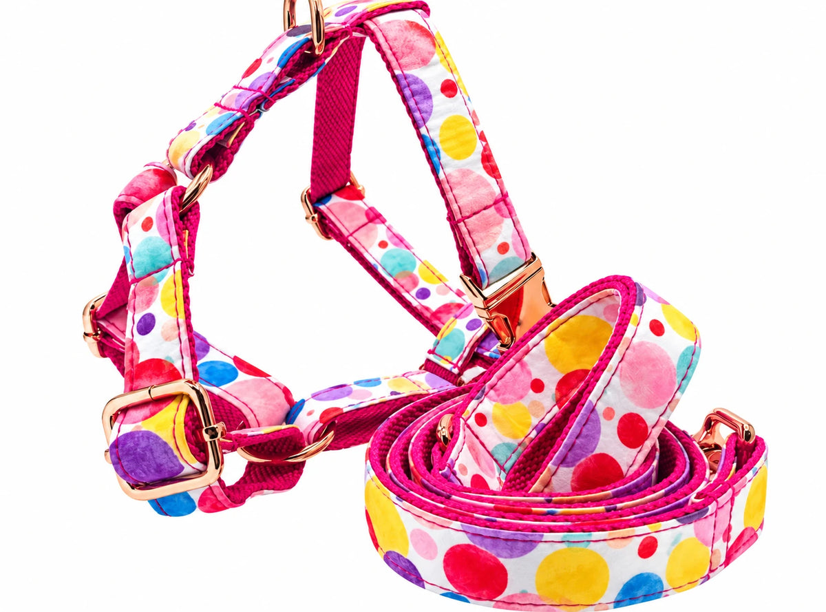 Petspuff Oh My Bubbles Print Step-In Harness & Lead Set – 2 Piece | Small Dogs, Puppies & Cats