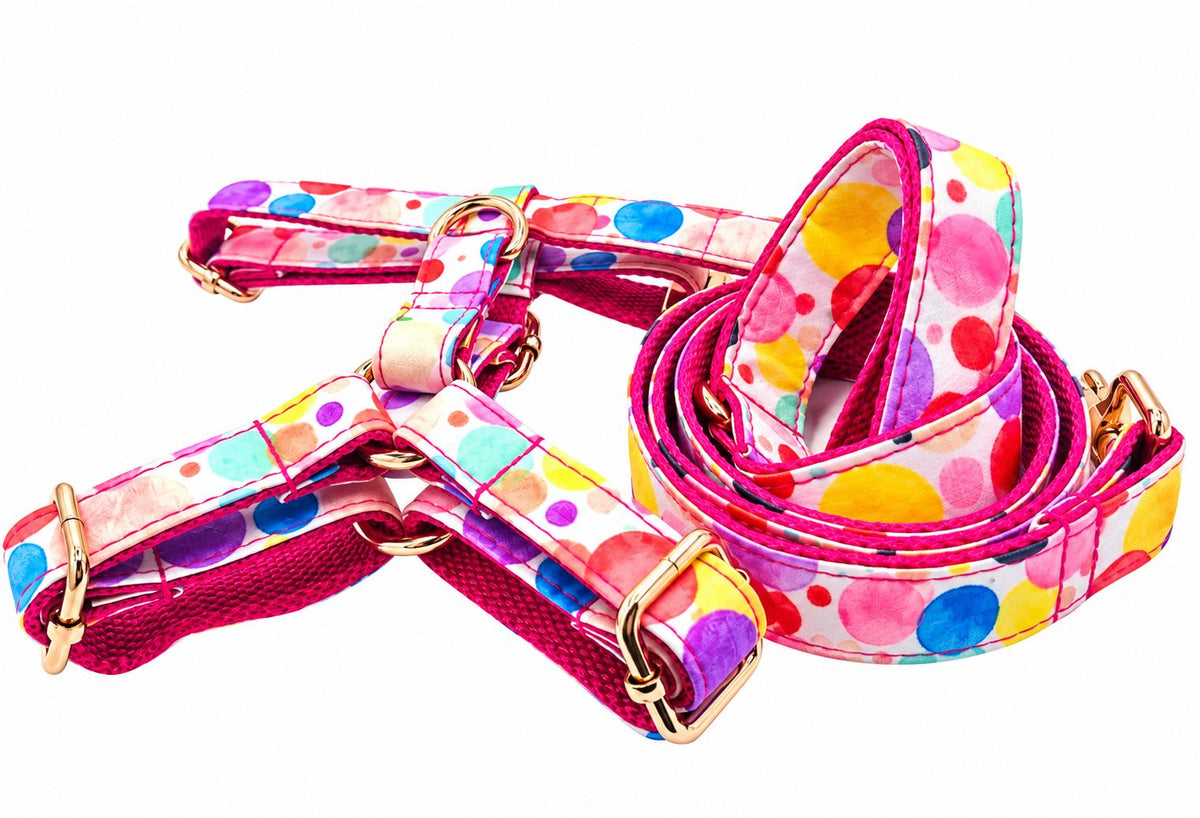 Petspuff Oh My Bubbles Print Step-In Harness & Lead Set – 2 Piece | Small Dogs, Puppies & Cats