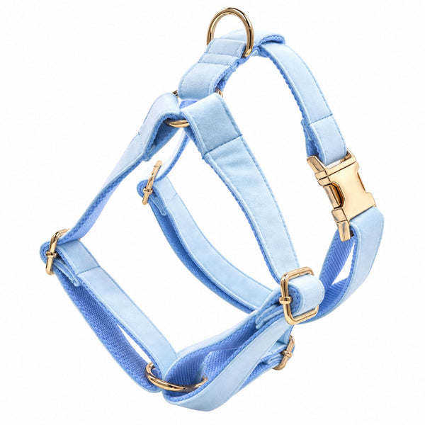 Petspuff Step-In Dog & Cat Harness Sky Blue | Adjustable | Lightweight
