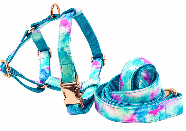 Petspuff Sky Blue Step-In Harness & Lead Set – 2 Piece | Small Dogs, Puppies & Cats